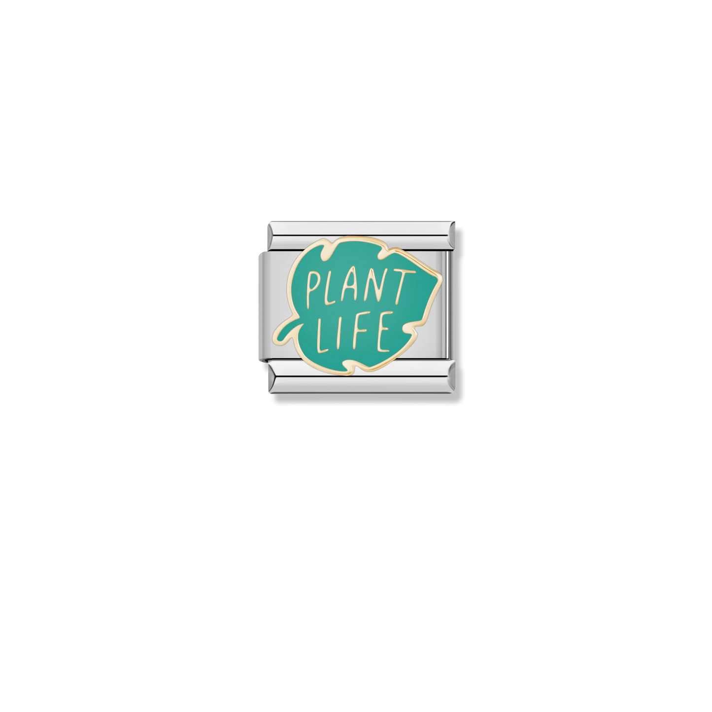 Plant Life - Silver Charm