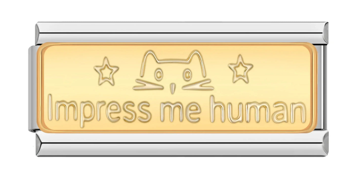 Impress me human - Silver Bar Charm - Charmris