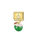 Coconut Drink – Gold Italian Pendant Charm