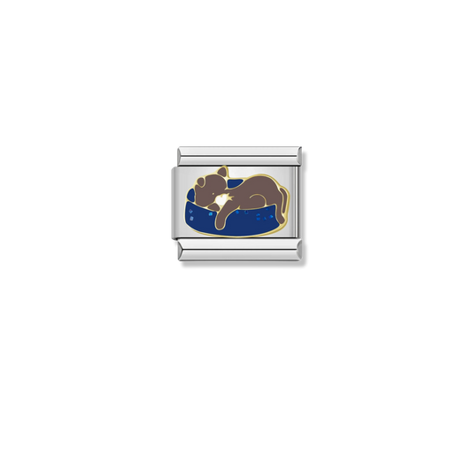 Sleeping Cat - Silver Charm