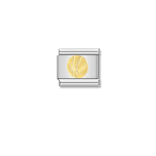 Basketball - Silver Charm