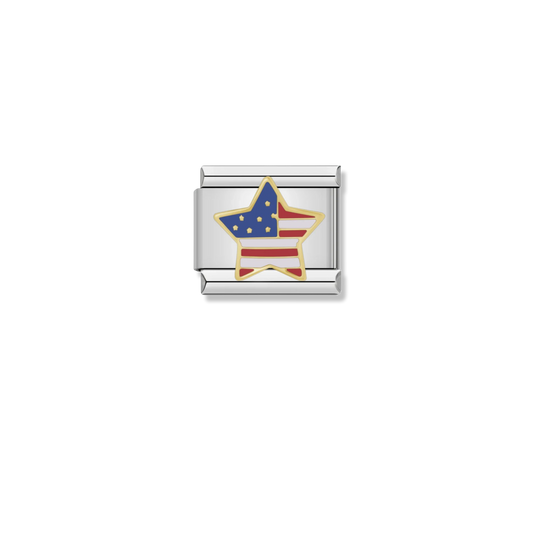 American Flag Star - Silver Charm