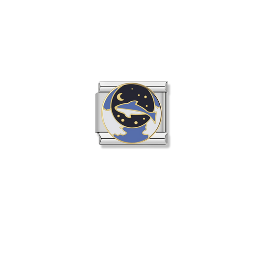 Moonlit Dolphin - Silver Charm