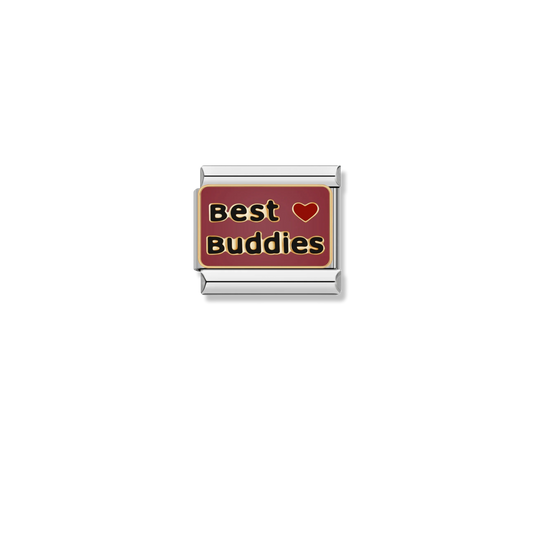 Best Buddies - Silver Charm