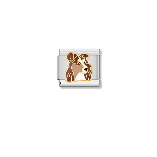 Collie Dog - Silver Charm