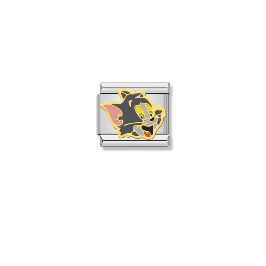Tom Cat Grin - Silver Charm