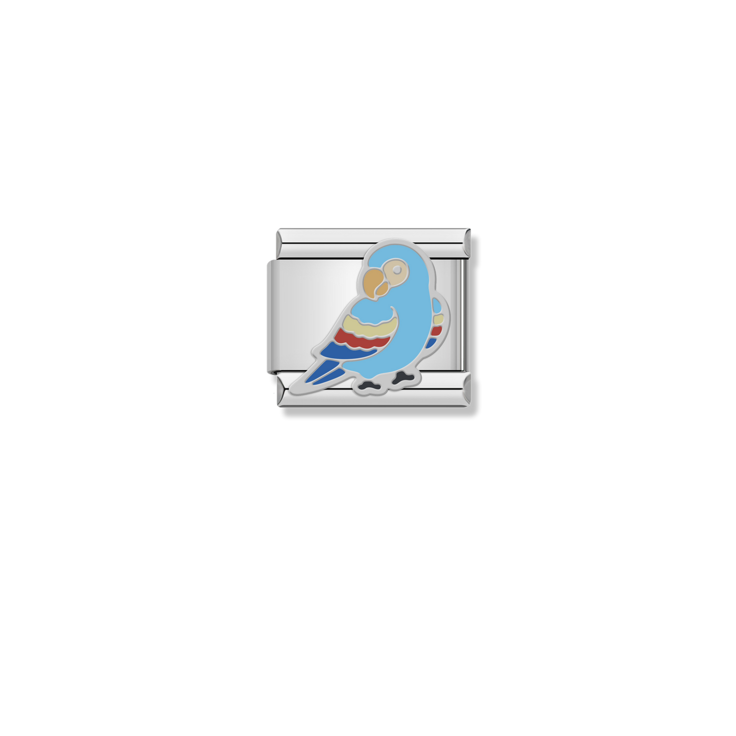 Budgie Parakeet - Silver Charm