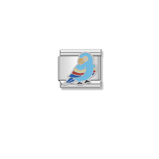 Budgie Parakeet - Silver Charm
