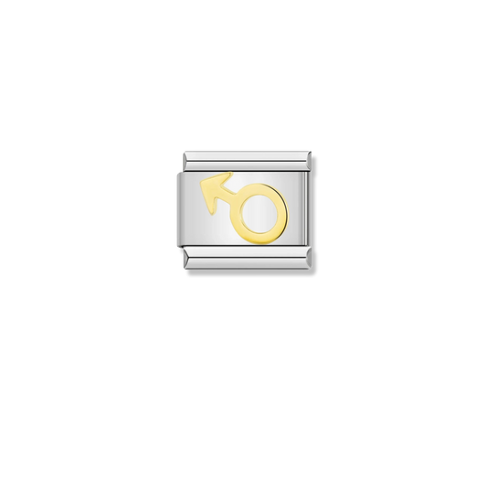 Male Symbol Sign - Silver Charm
