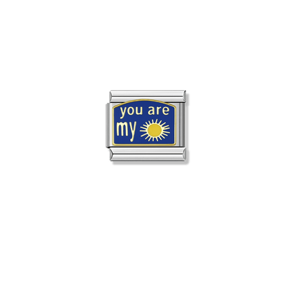 You Are My Sunshine - Silver Charm