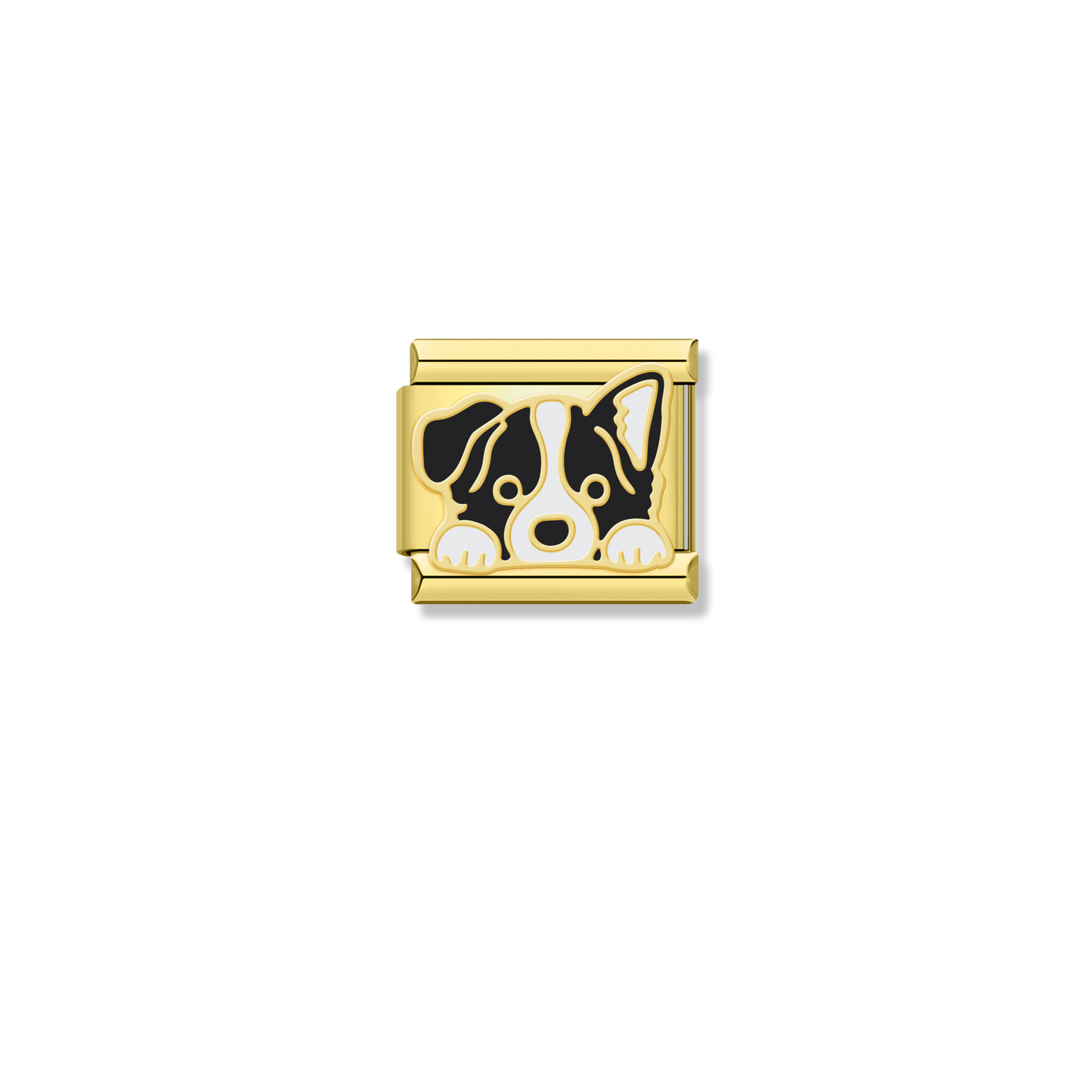 Border Collie Puppy - Gold Charm