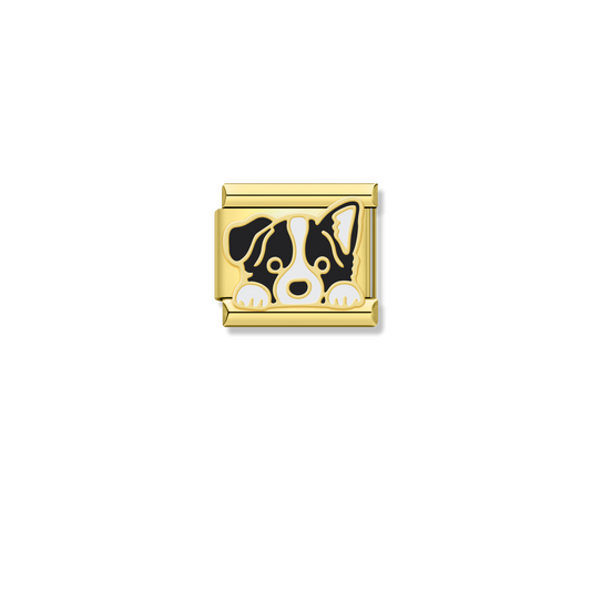 Border Collie Puppy - Gold Charm