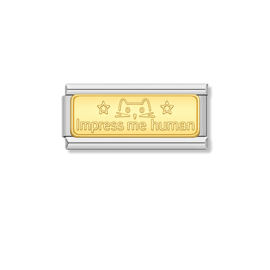 Impress me human – silver Italian bar charm by Italycharm