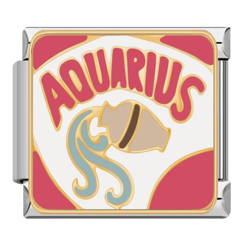 Aquarius Charm