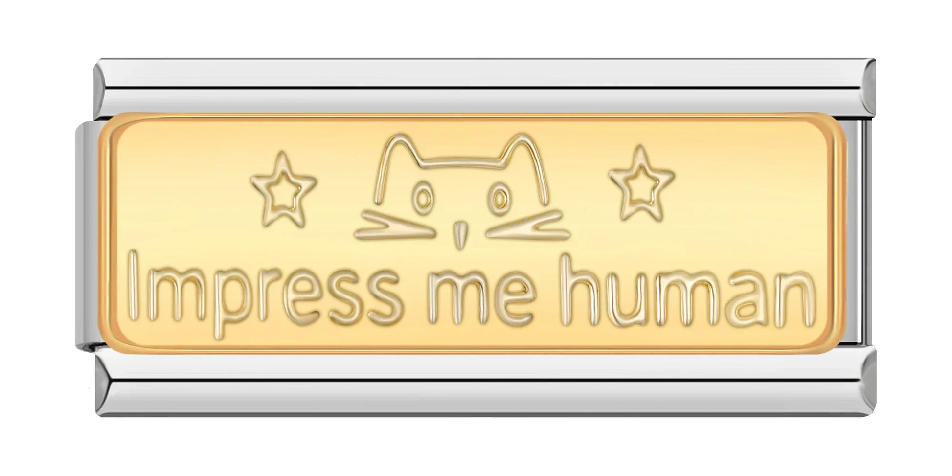 Impress me human - Silver Bar Charm - Charmris